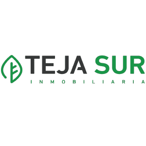 Teja Sur Logo Mesa de trabajo 1